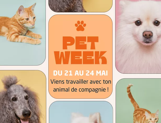 Affiche-PET-WEEK-1